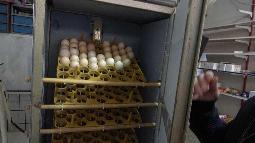 Maddi imkansızlık sebebiyle hayalini ertelemek yerine mühendislik bilgisini konuşturdu! Atık malzemelerden kendi makinesini üretti, kendi fabrikasını kurdu