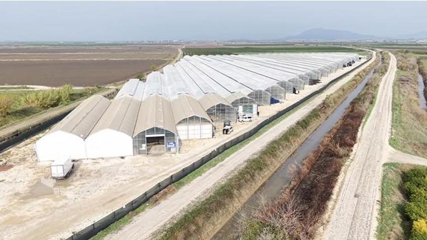 Adana'da yapay zeka üretti 7 ülke almak için sıraya girdi! Dronlar serada anlık gelişimi takip ediyor