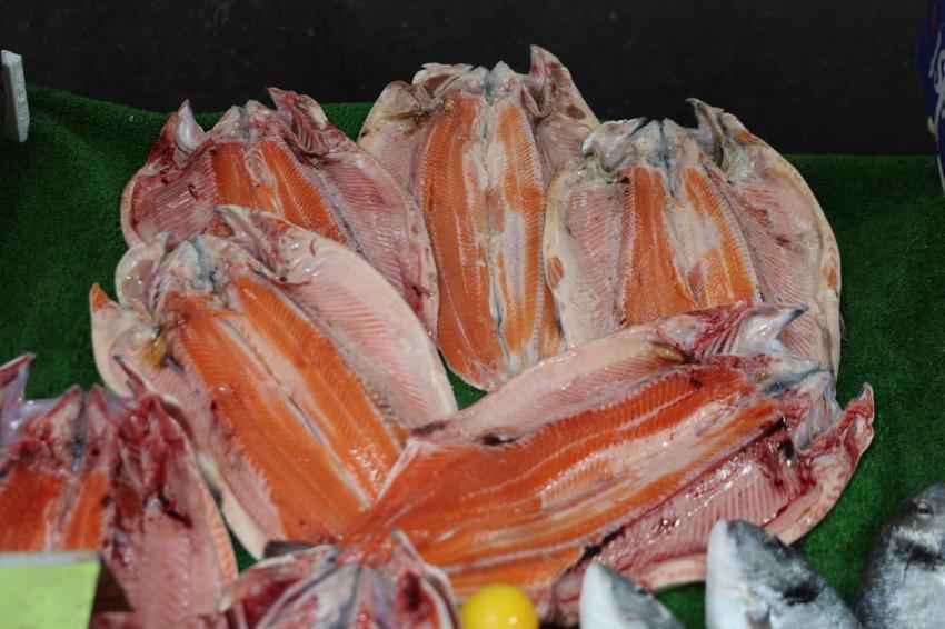 Elazığlılar soğuk havada oraya akın etti: Tezgahlarda bolluk var! İşte hamsi, somon ve alabalıkta son fiyatlar