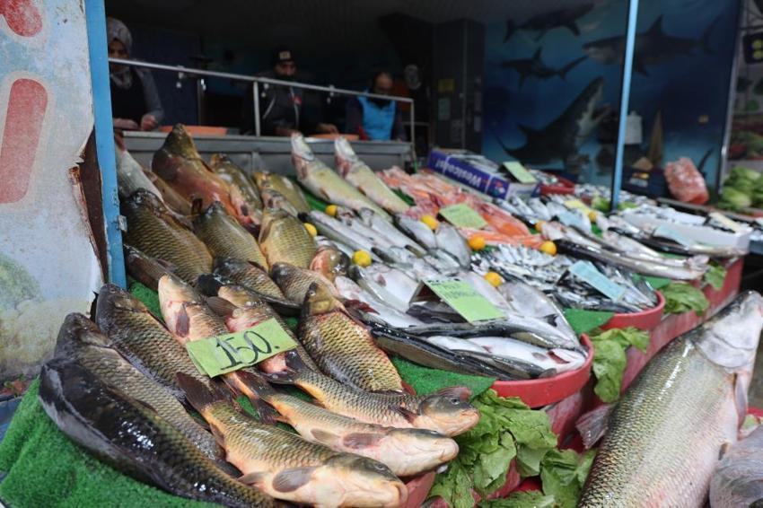 Elazığlılar soğuk havada oraya akın etti: Tezgahlarda bolluk var! İşte hamsi, somon ve alabalıkta son fiyatlar