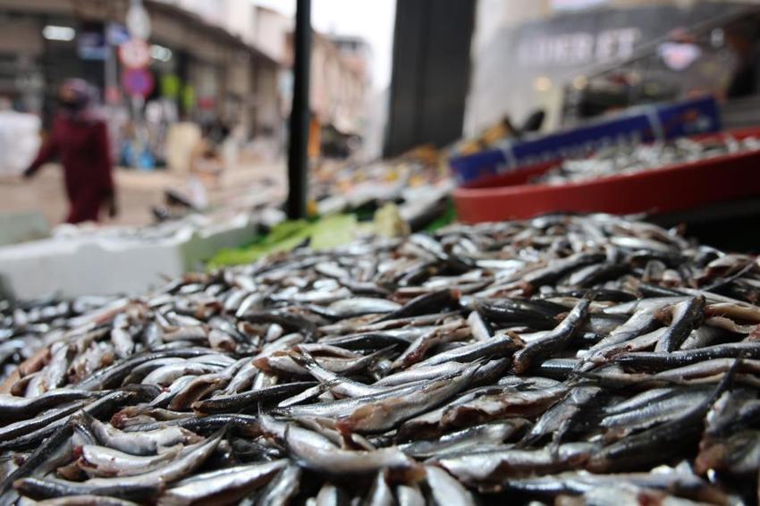 Elazığlılar soğuk havada oraya akın etti: Tezgahlarda bolluk var! İşte hamsi, somon ve alabalıkta son fiyatlar