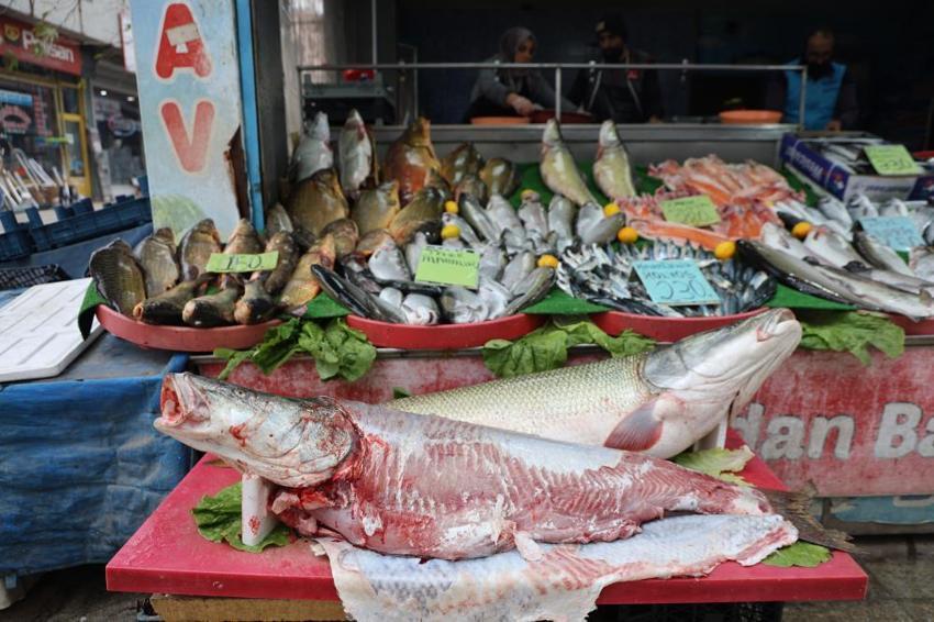 Elazığlılar soğuk havada oraya akın etti: Tezgahlarda bolluk var! İşte hamsi, somon ve alabalıkta son fiyatlar