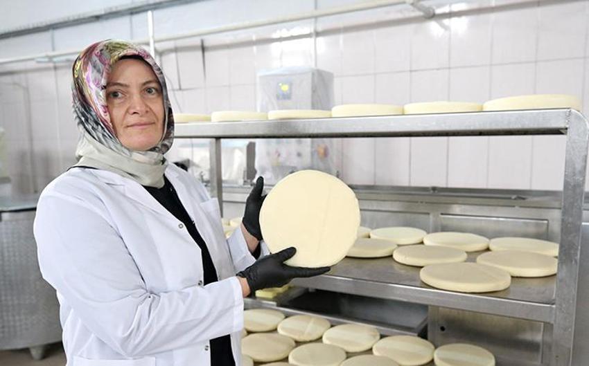 Lise mezunu Muş'un köyüne kurdu! Günde 10 ton üretiyor, birçok şehre kasa kasa gönderiyor