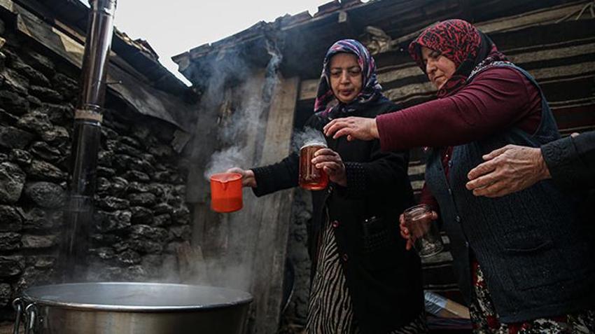 Bursa'da erkekler ormandan bedavaya toplayıp eşlerine yaptırıyor! İnternetten tanesi 500 liraya satılıyor
