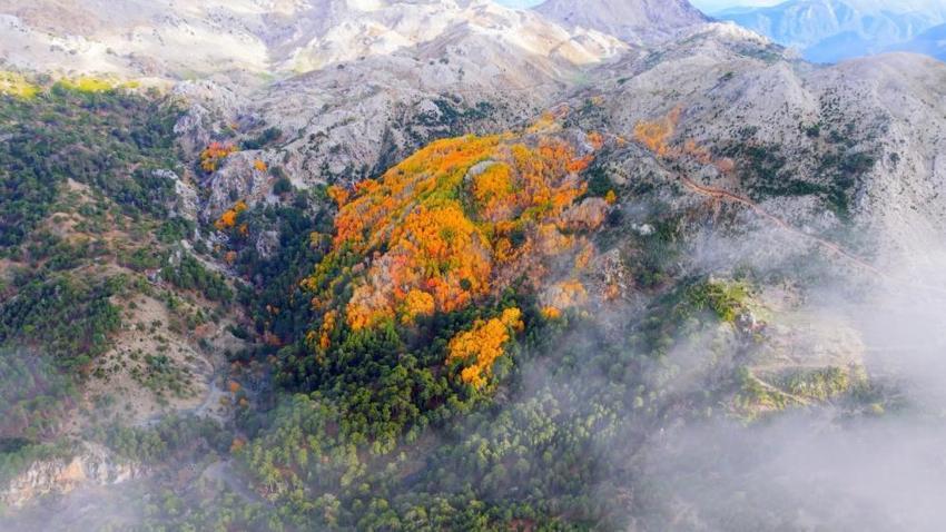 Türkiye'de çok nadir görülüyor: Denizli’nin gizli cennetinde renk cümbüşü: Doğa tutkunları buraya akın ediyor