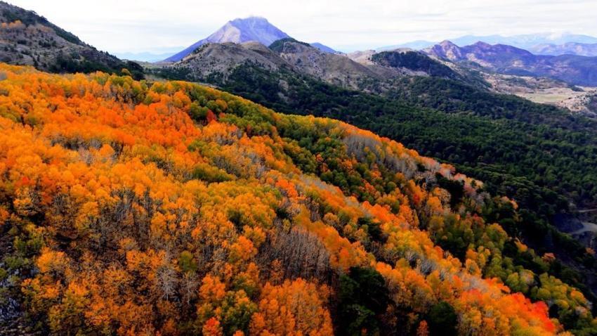 Türkiye'de çok nadir görülüyor: Denizli’nin gizli cennetinde renk cümbüşü: Doğa tutkunları buraya akın ediyor
