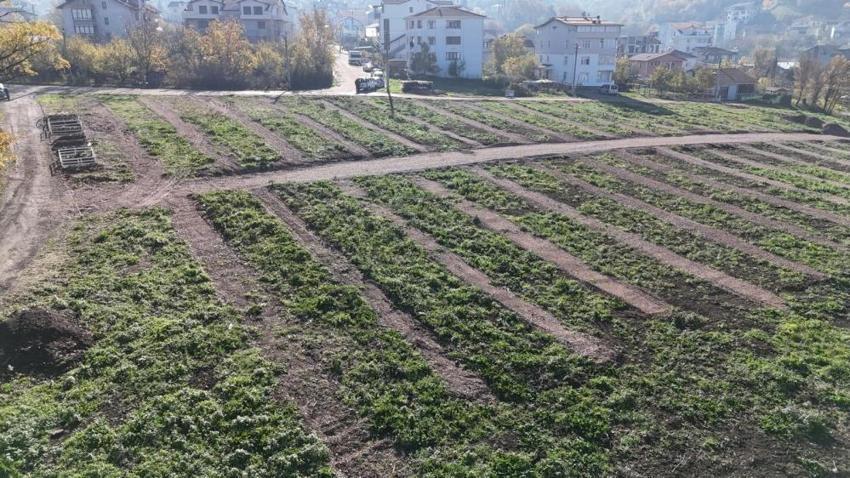 Kocaeli'de 2 mahalleye kuruldu: Binlerce metrekare alan ayrıldı