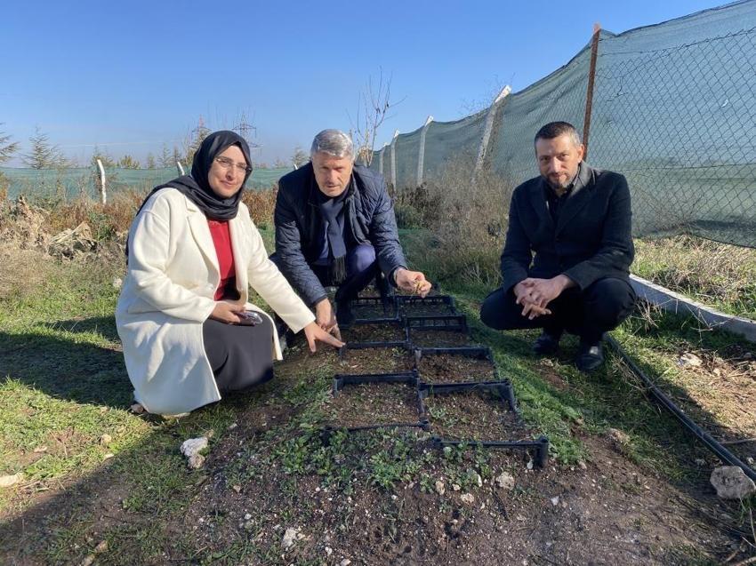Eskişehir'e deneme amaçlı ekildi: 1 kilosu 1 ton buğday ediyor! Çiftçiye 5 kat fazla kazandırdı