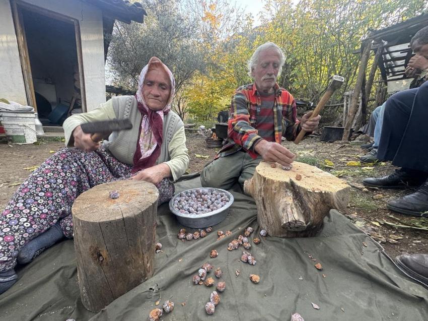 Torosların zirvesinden topluyorlar! Tam bir şifa deposu: 10 kilo üründen sadece 1 kilo çıkıyor