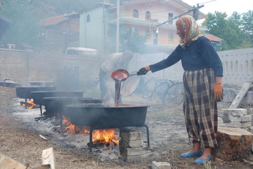 Torosların zirvesinden topluyorlar! Tam bir şifa deposu: 10 kilo üründen sadece 1 kilo çıkıyor