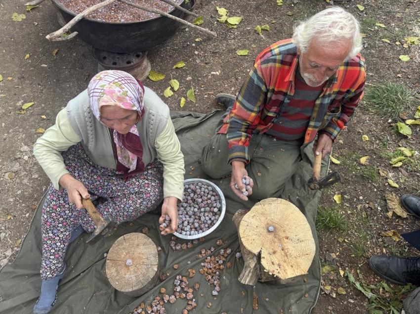 Torosların zirvesinden topluyorlar! Tam bir şifa deposu: 10 kilo üründen sadece 1 kilo çıkıyor