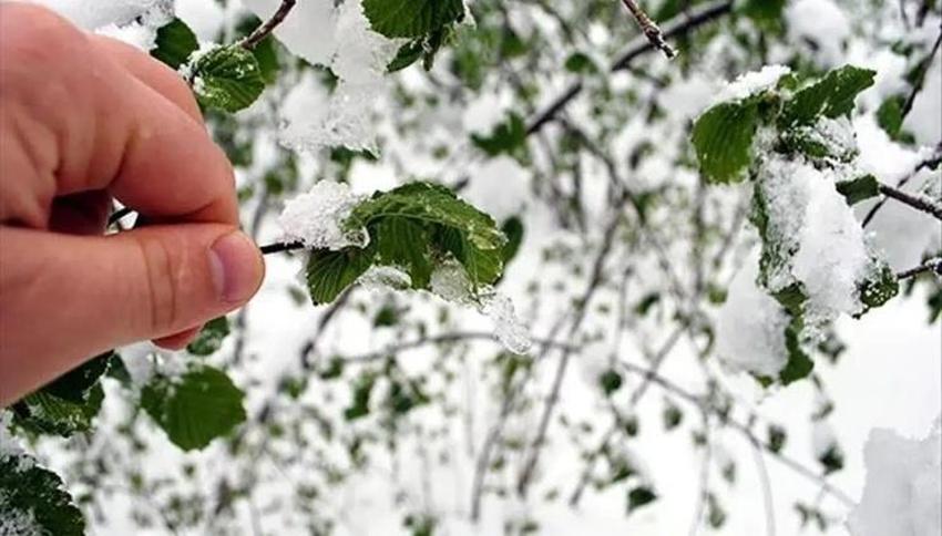 Konya'da risk bu gece başlıyor: Uyarı sabaha karşı geldi