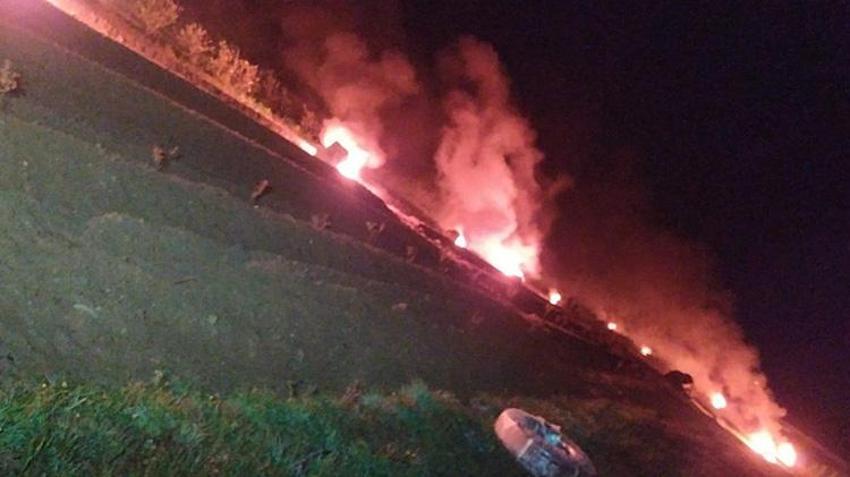 Bursalı kadınlar bir mahallenin kaderini değiştirdi! Şehri terk edip devasa arazilerde üretime başladılar