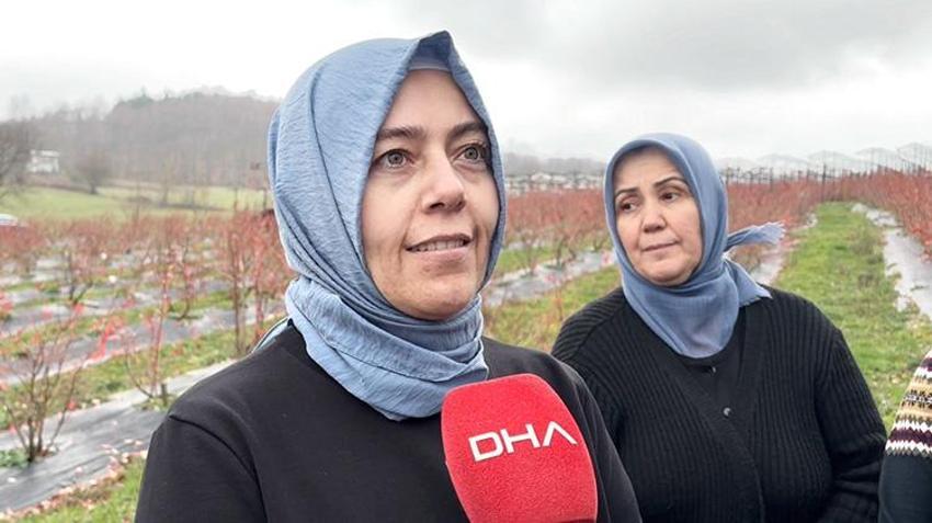 Bursalı kadınlar bir mahallenin kaderini değiştirdi! Şehri terk edip devasa arazilerde üretime başladılar