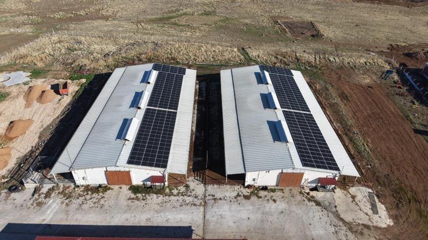 Elazığlı köylünün çiftlik projesi tuttu! Kırmızı et üretirken ücretsiz hale getirdi