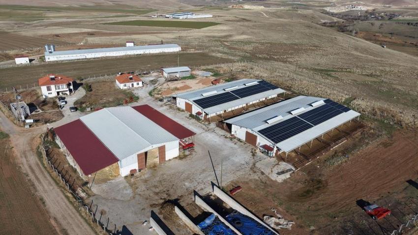 Elazığlı köylünün çiftlik projesi tuttu! Kırmızı et üretirken ücretsiz hale getirdi
