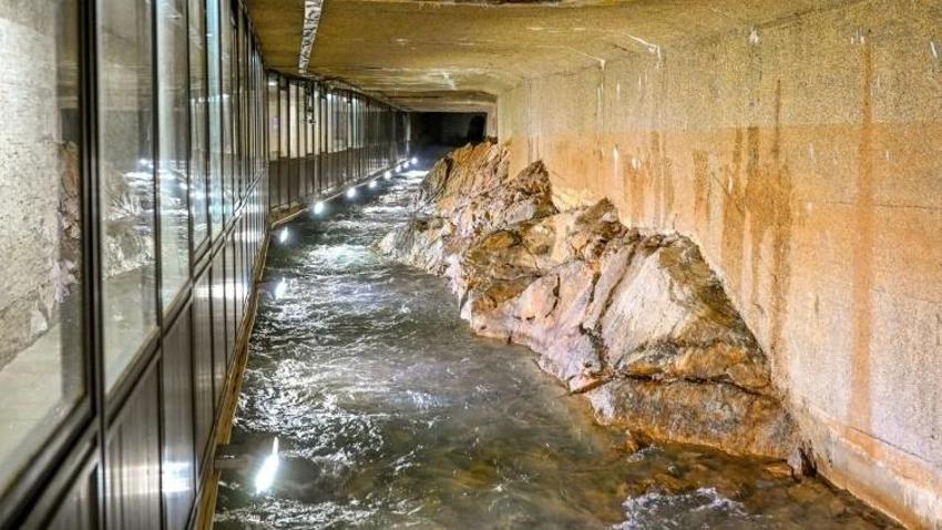 Malatya'da üretimi için 255 bin metrekare ayrıldı: Tasarruf için devreye alındı