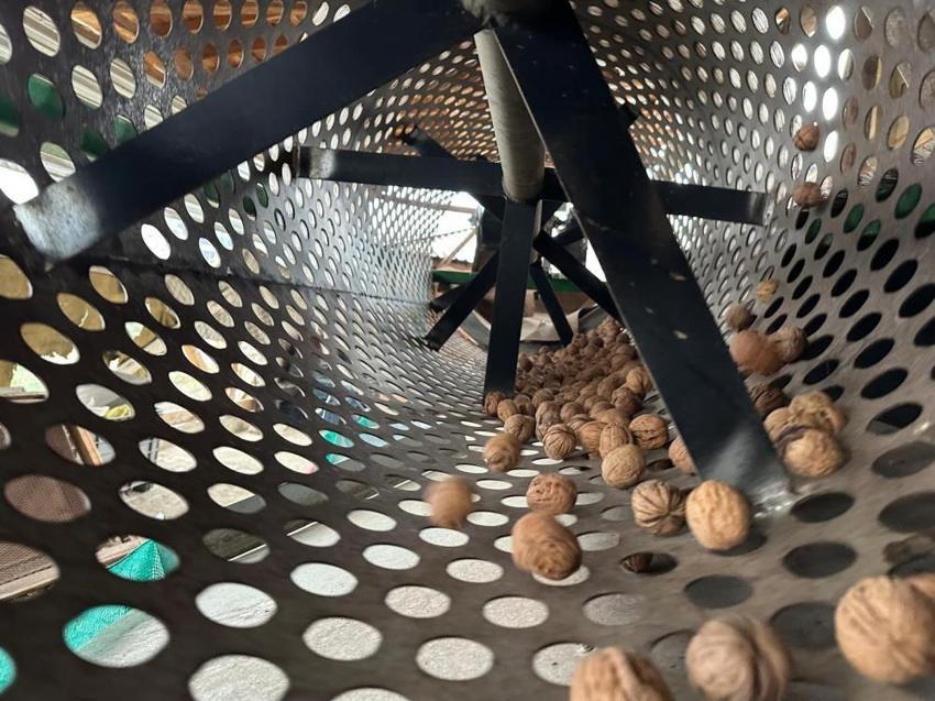 Bursa'nın köyüne doktorlar yatırım yapıyor! Dönümü 500 bin TL'ye ulaştı, ilçenin ünvanı değişti