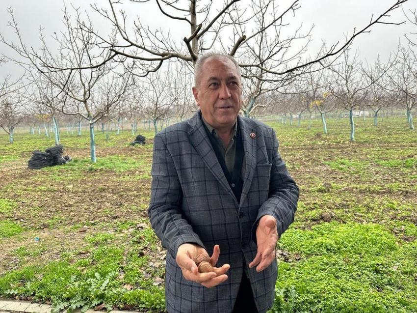 Bursa'nın köyüne doktorlar yatırım yapıyor! Dönümü 500 bin TL'ye ulaştı, ilçenin ünvanı değişti