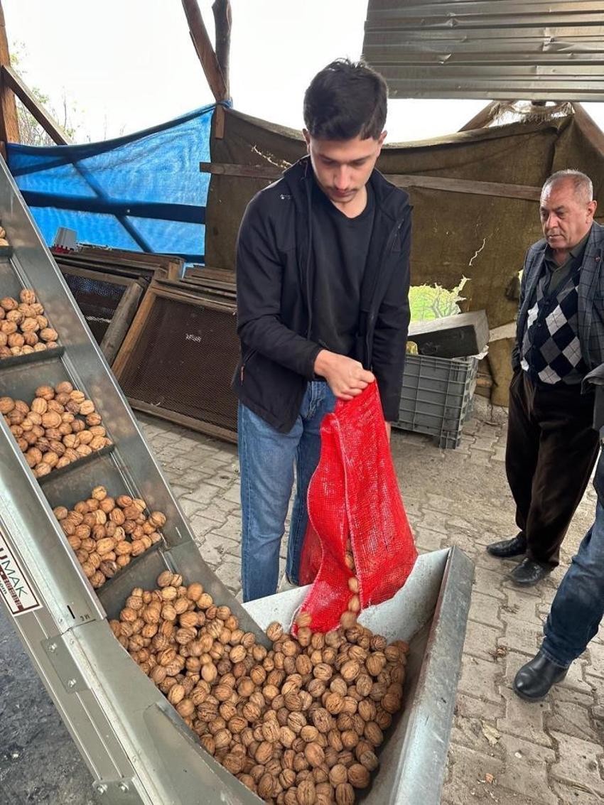Bursa'nın köyüne doktorlar yatırım yapıyor! Dönümü 500 bin TL'ye ulaştı, ilçenin ünvanı değişti
