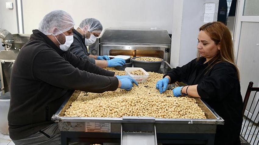 Giresun'da kadın girişimci muhasebeciliği bıraktı, aldığı hibeyle kendi işinin patronu oldu: Yılda 100 bin ton işliyor, 10 kişiyi istihdam etti