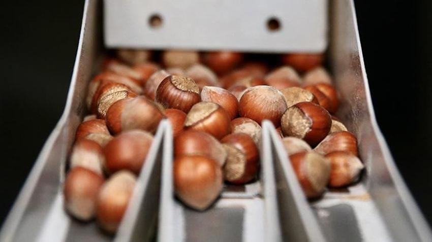 Giresun'da kadın girişimci muhasebeciliği bıraktı, aldığı hibeyle kendi işinin patronu oldu: Yılda 100 bin ton işliyor, 10 kişiyi istihdam etti