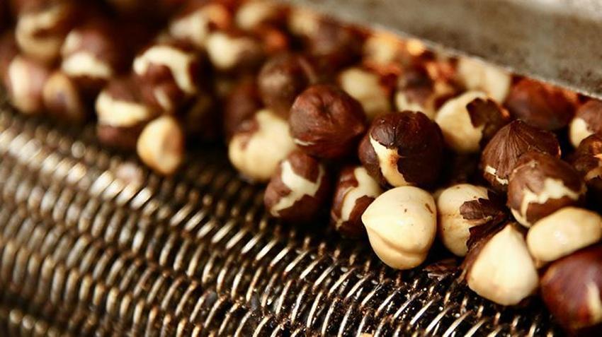 Giresun'da kadın girişimci muhasebeciliği bıraktı, aldığı hibeyle kendi işinin patronu oldu: Yılda 100 bin ton işliyor, 10 kişiyi istihdam etti