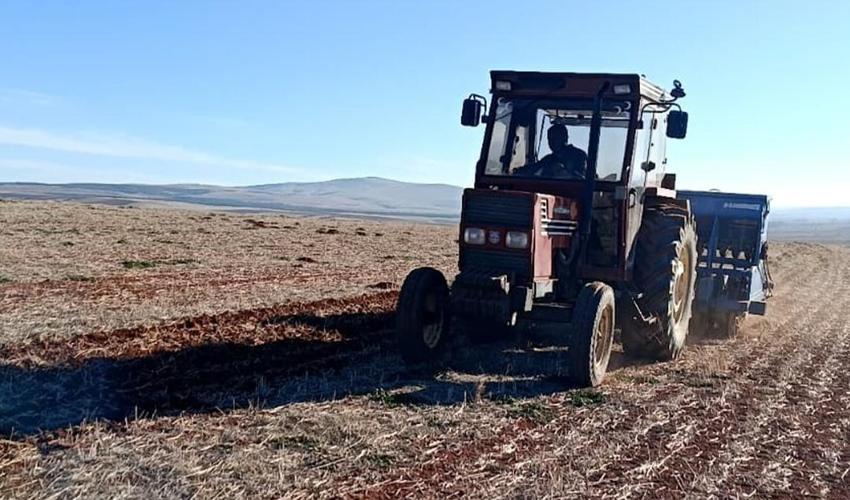Konya'da model değişti, çiftçinin geliri arttı! Az çalışıp çok kazandırıyor: Tarlada önerildi