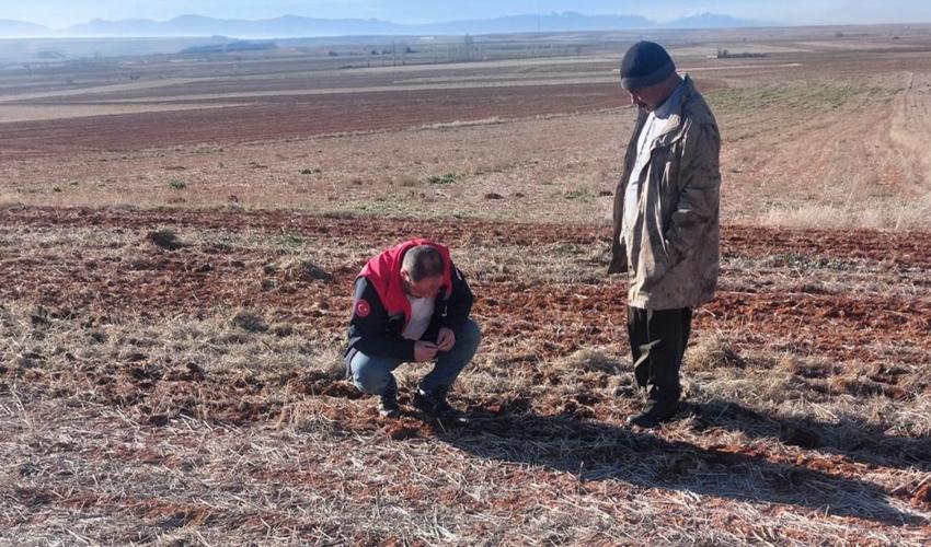 Konya'da model değişti, çiftçinin geliri arttı! Az çalışıp çok kazandırıyor: Tarlada önerildi