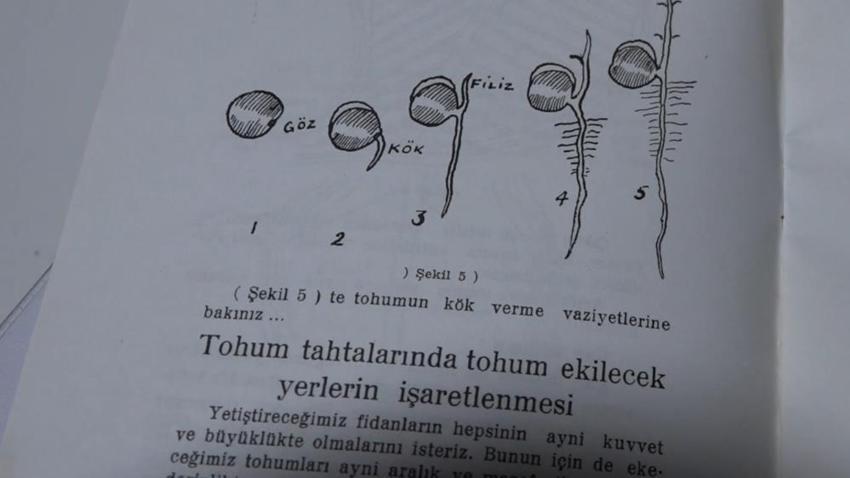 Rize'de kayıtlara geçti: İlk çay üretiminin tarihi ortaya çıktı! Bir memurun arşivinde bulundu