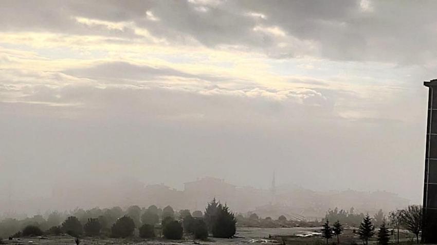 Evliya Çelebi müjdesini vermişti! Muğla'nın yaylasında görüldü