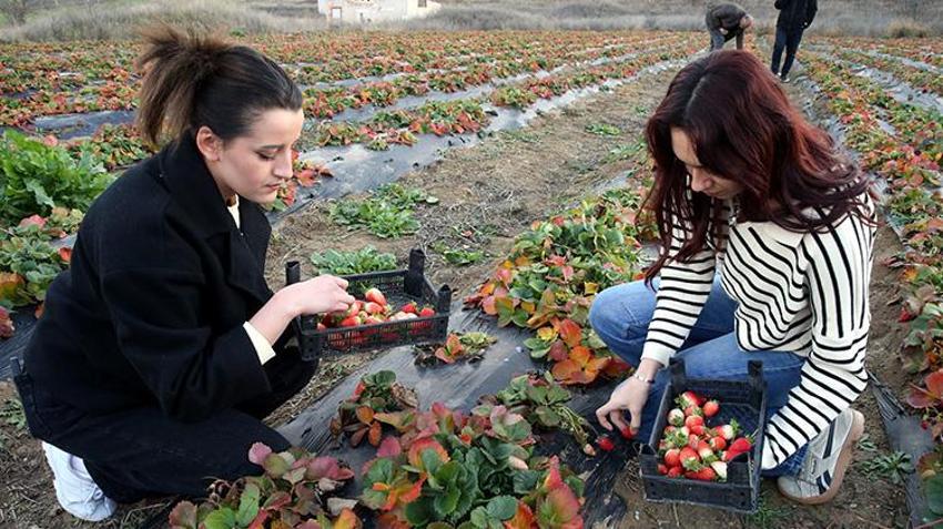 Tokatlı vatandaş hobi olarak başladı! Şimdi siparişlere yetişemiyor