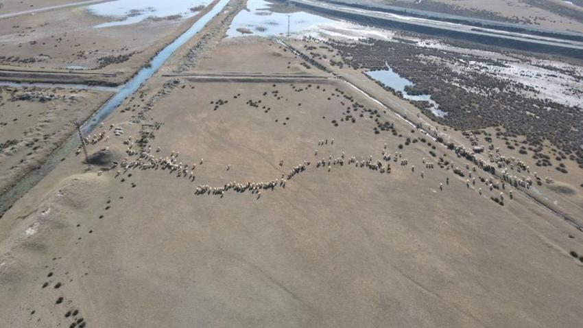Erzincan'da Aralık ayının son günlerinde alışılmadık durum! Çiftçi için kar yoksa tasarruf var