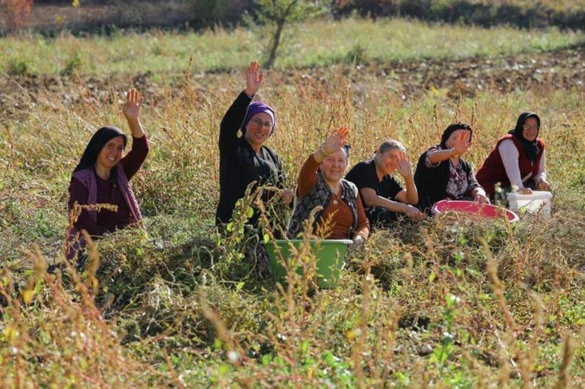 Samsun'da 2026'da başlıyor! Dar gelirli ailelere ücretsiz verilecek, belediye başkanı duyurdu