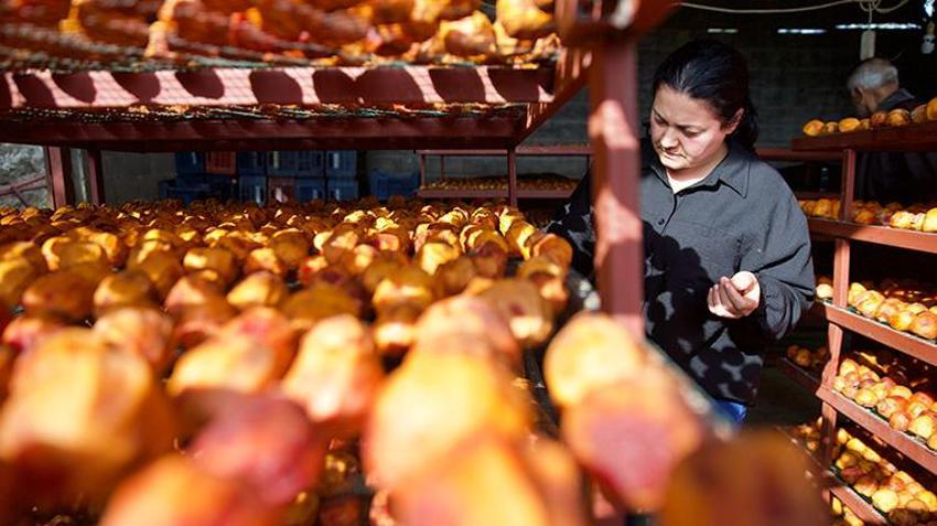 Sosyal medyada paylaştılar, Osmaniye'de 10 dönümlük bahçeden Türkiye'nin dört bir yanına gönderiyorlar! Dededen kalan mirasla hayatları değişti