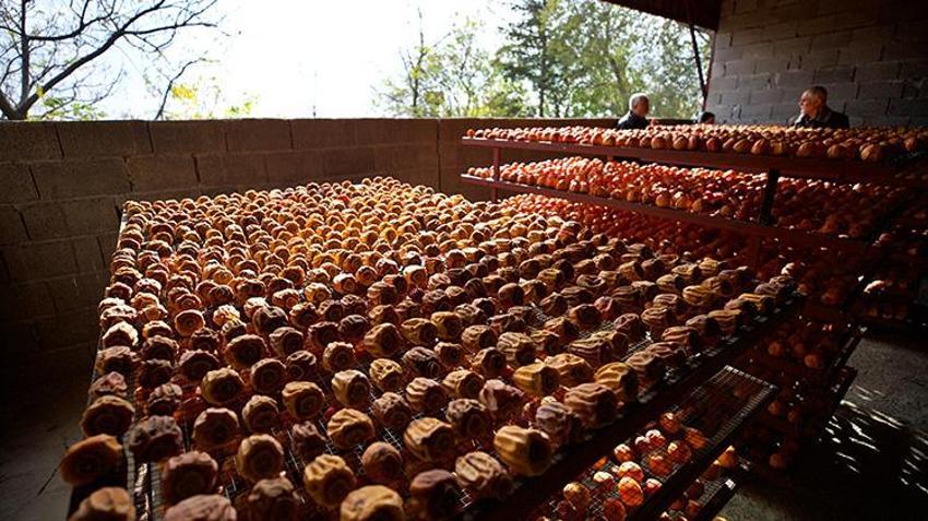 Sosyal medyada paylaştılar, Osmaniye'de 10 dönümlük bahçeden Türkiye'nin dört bir yanına gönderiyorlar! Dededen kalan mirasla hayatları değişti
