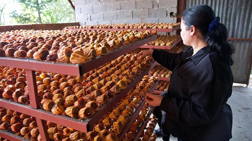 Sosyal medyada paylaştılar, Osmaniye'de 10 dönümlük bahçeden Türkiye'nin dört bir yanına gönderiyorlar! Dededen kalan mirasla hayatları değişti