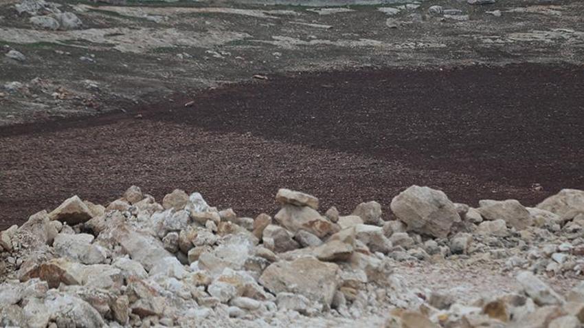 Güneydoğu'nun 'atıl' taşları altına dönüşüyor: GAP'tan Cumhuriyet tarihinin en kritik adımı: 50 bin dekarlık dev ıslah projesi başlıyor