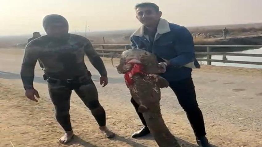 Iğdırlı amatör balıkçı görenleri hayrete düşürüyor! Nefesini tutup eliyle yakalıyor