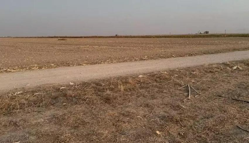 Konya'da eski eş cinayeti: 55 bıçak darbeli dehşetin cezası belli oldu