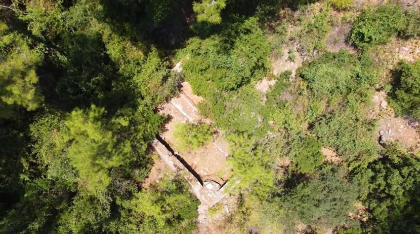 Muğla'da 'Bal Ormanları' için tarihi restorasyon başladı! 1970'lerde terk edilen sistem arıcılığı kurtarmaya geliyor
