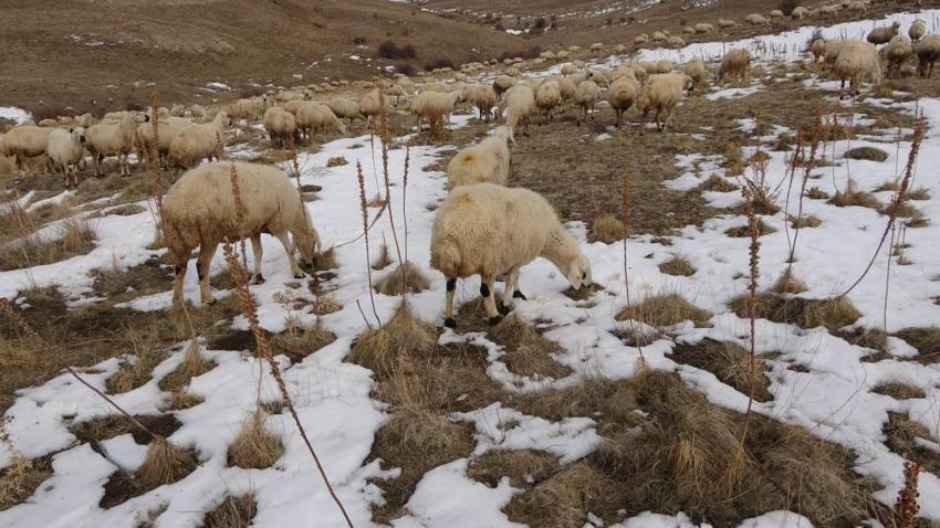 Yozgat'ta babasıyla tartıştı, sonra hayatı değişti! Krediyle başladığı işle servet sahibi oldu