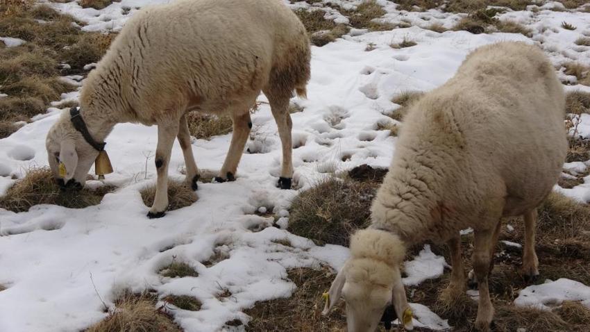 Yozgat'ta babasıyla tartıştı, sonra hayatı değişti! Krediyle başladığı işle servet sahibi oldu