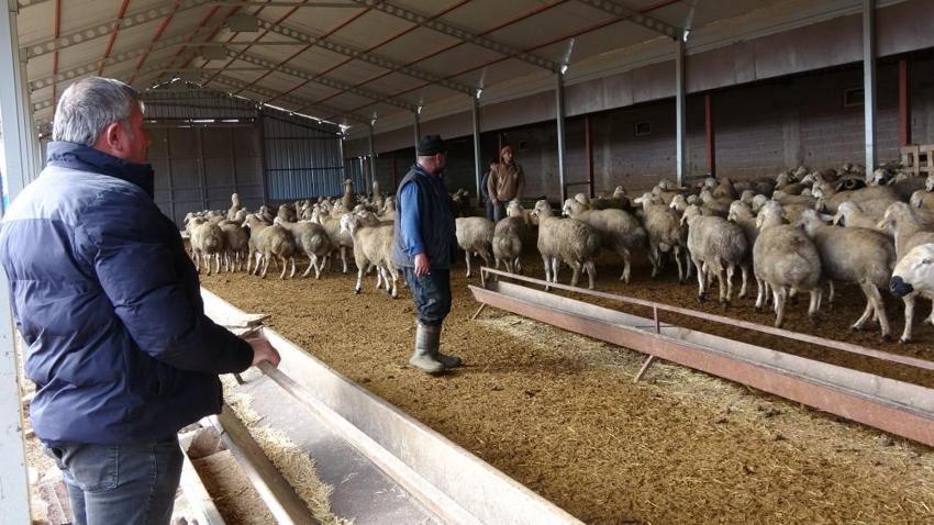 Yozgat'ta babasıyla tartıştı, sonra hayatı değişti! Krediyle başladığı işle servet sahibi oldu