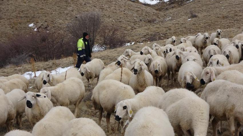 Yozgat'ta babasıyla tartıştı, sonra hayatı değişti! Krediyle başladığı işle servet sahibi oldu