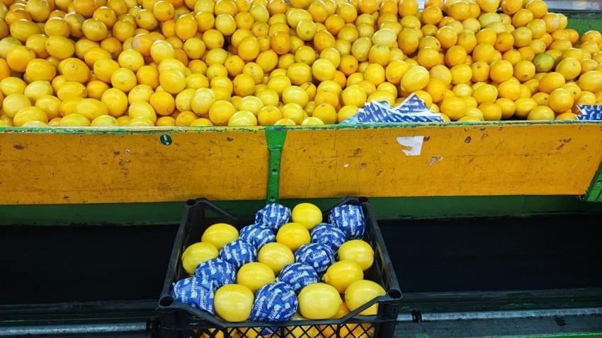 Yeni yıl öncesi Adana’da 'narenciye' seferberliği! Rusya ve Avrupa’dan dev sipariş