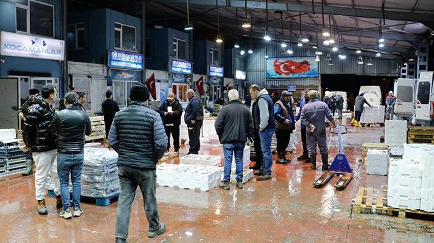 Marmara Bölgesi'ndeki balık mezatlarında en yoğun rekabet hamside yaşandı