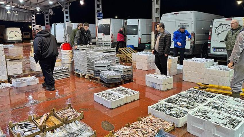 Marmara Bölgesi'ndeki balık mezatlarında en yoğun rekabet hamside yaşandı