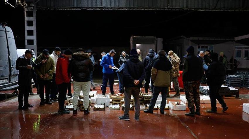 Marmara Bölgesi'ndeki balık mezatlarında en yoğun rekabet hamside yaşandı