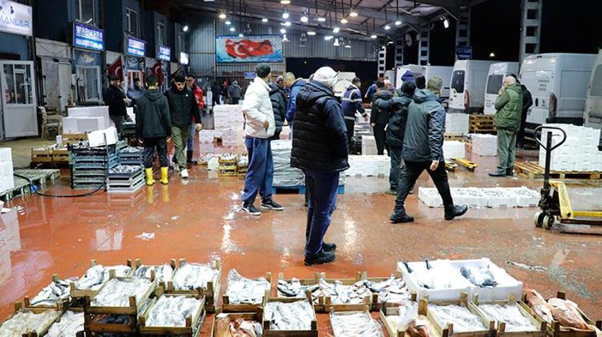 Marmara Bölgesi'ndeki balık mezatlarında en yoğun rekabet hamside yaşandı
